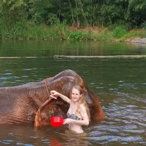 Femme de ménage près de nointel 