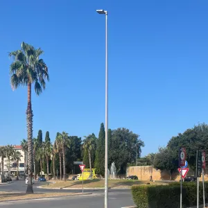 Babysitter con patente