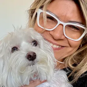 Walking dog in Cedofeita e arredores 