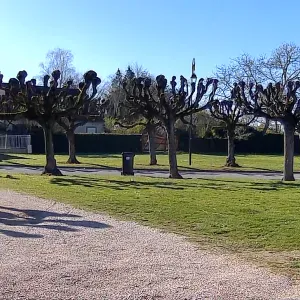 Aide à domicile ,soins de nursing 