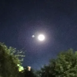 Empleada de limpieza .Aranjuez.