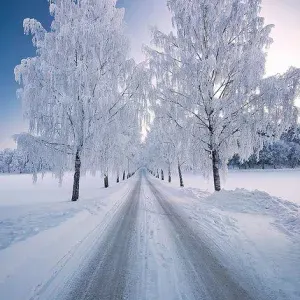 Femme de ménage responsable et sérieuse au Luxembourg 