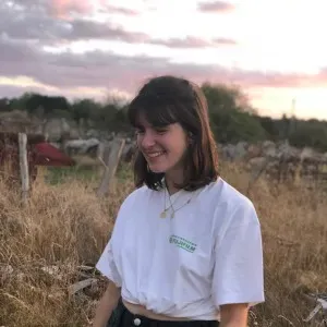 Aide ponctuelle dans les matières littéraires collège/lycée