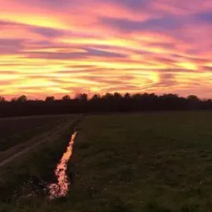 Cerco un servizio di pulizie vicino a me