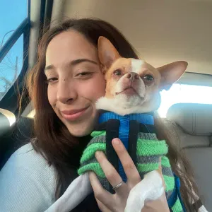 Cuidador de animales en Palma