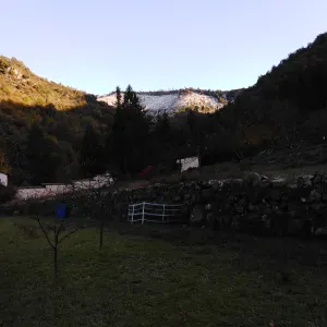 Garde personne âgée