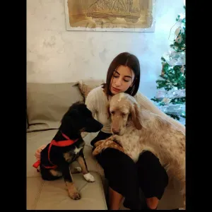 Servizio di petsitter per cani e gatti 