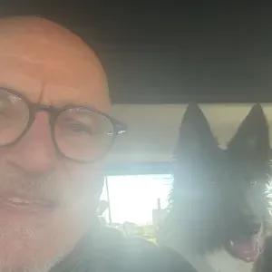 Cerco collaboratrice domestica