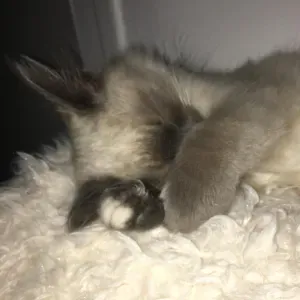 Garde d'enfants fiable sur Bordeaux et alentours.