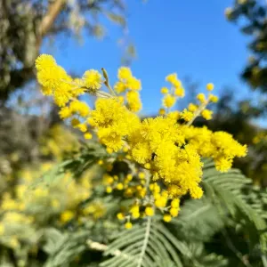 Recherche baby-sitter - garde d'enfants à Hyères