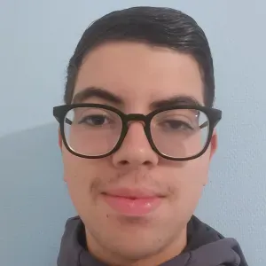 Homme de ménage- Lycéen 17 ans