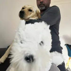 Homme de ménage sérieux et expérimenté à Paris