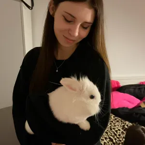 Petsitter, opiekun twoich zwierząt 