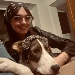 Pet Sitter à Genech en compagnie de Rocket 