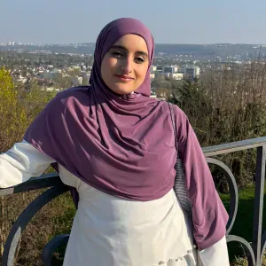 Baby-Sitter expérimenté à Paris