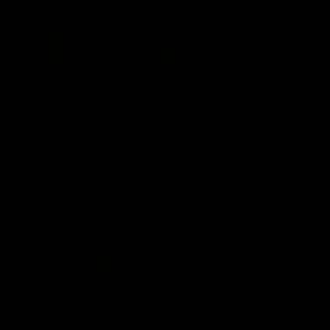 Propose aide aux devoirs/ soutien scolaire 