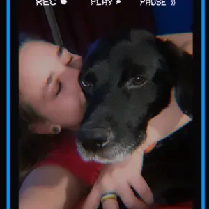 Cuidadora compassiva Fernão ferro