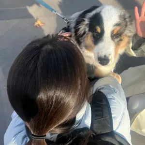 Pet-Sitter attentionnée à Lyon