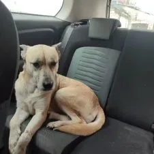 Services & compagnie