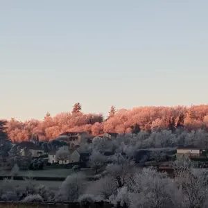 Aide ménagère