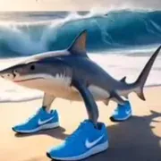 Babysitter fano ragazzo 22 anni