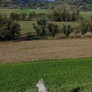Bonjour, je suis Pénélope et je m'occupe de vos chiens !