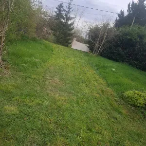 Recherche femme de ménage