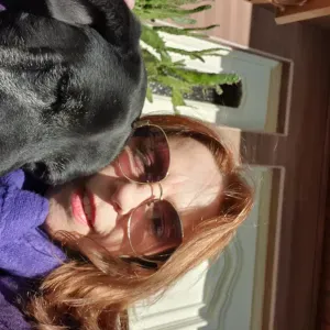 Serviços de limpeza e organização