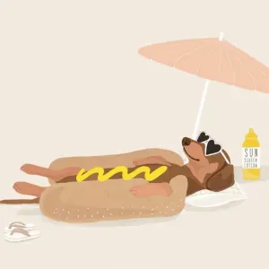compagnon pour votre animal de compagnie