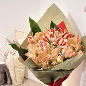 Femme de ménage, Île-de-France