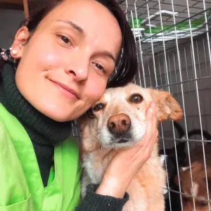 Pet Sitting Marco de Canaveses