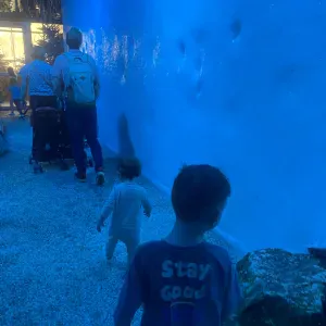 Aide à domicile au alentour de Beaufort en Vallée 