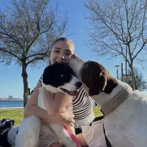 Petsitting na cidade de Setúbal 