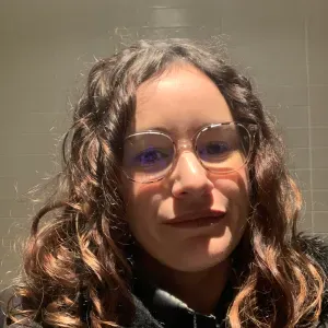 Femme de ménage en sarthe dans les communes aux alentours