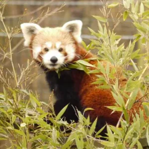 Baby-sitter étudiante pour vos enfants ! 