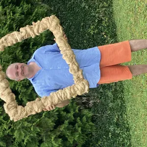 A la recherche d'une femme de ménage