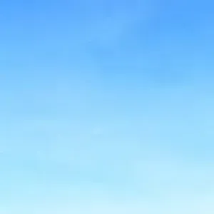 Nettoyage sauf les toilettes mais tout le reste oui 