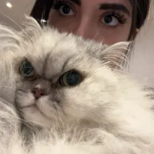 Expérimenté et passionné de vos bébés !