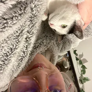 Cuidadora de animales en Zaragoza 