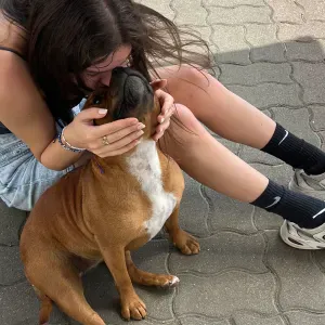 Pet-Sitter au Luxembourg et alentours 