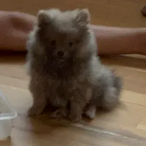 Je cherche aide ménagère 