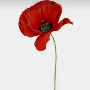 Emploi de femme de ménage Neuville-sur-Saône