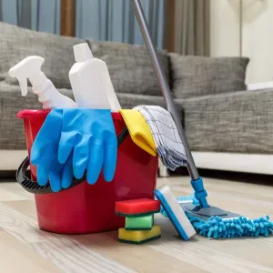 Je cherche une femme de ménage occasionnel 