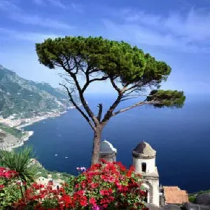 Aide soignante ou auxiliaire de vie