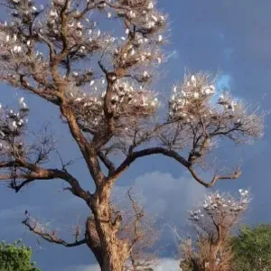 Recherche aide ménagère