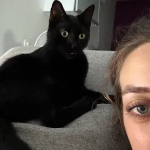 Pet-Sitter véhiculé dans le 79 