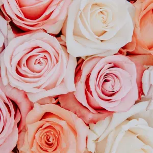 Offre d'emploi pour un(e) femme de ménage àBettembourg