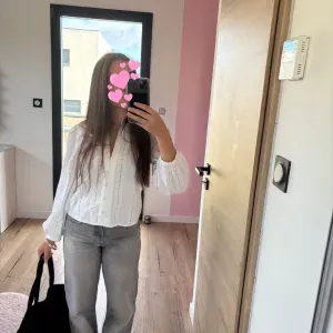 Promeneur et pet-sitter dispo 