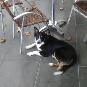 Recherche assistant(e) maternel(le) - garde d'enfants à ...