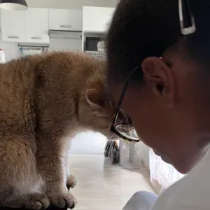 Pet-Sitter à Magny Le Hongre, 